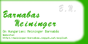 barnabas meininger business card